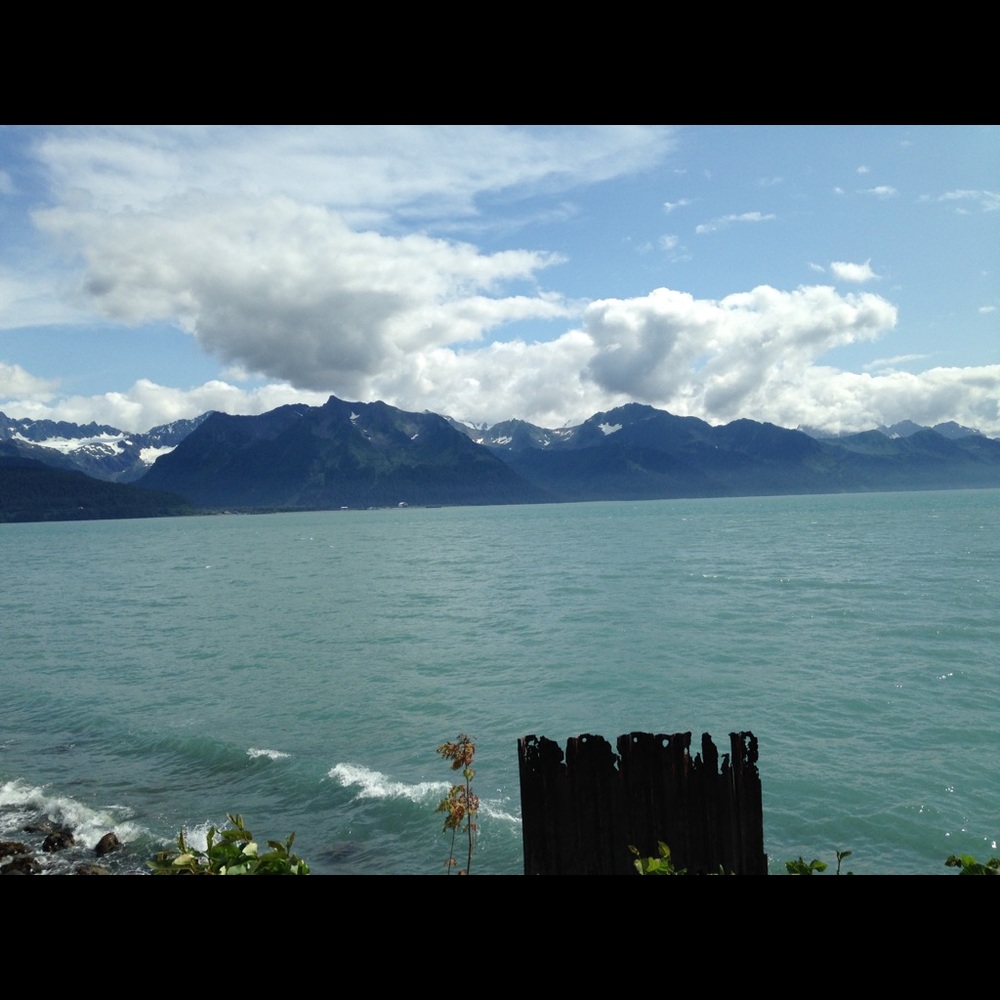 Meet your Posher, Leeann